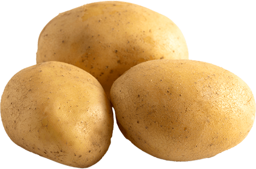 Potato