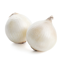 Fresh Onions - White