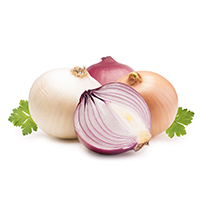 Onion Sizes & Grades